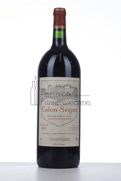 Picture of 1995 CALON SEGUR